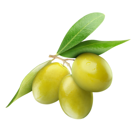 KÖYDEM Ege Yeşil Zeytin