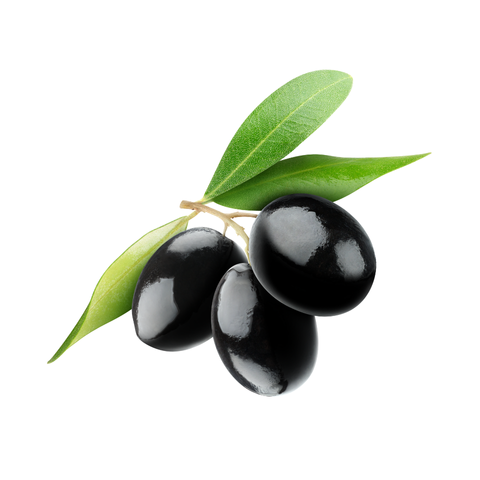 KÖYDEM MANİSA SİYAH ZEYTİN